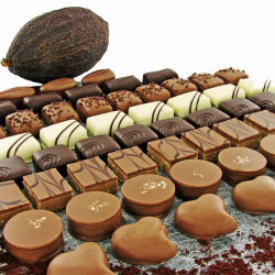 Bonbons de chocolat VALRHONA - ballotin de 250g