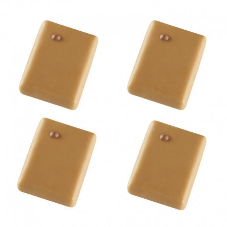 Promesse praliné noisette chocolat dulcey VALRHONA - boîte de 1kg