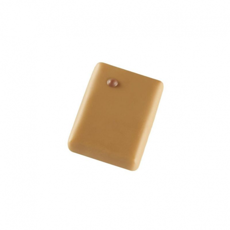 Promesse praliné noisette chocolat dulcey VALRHONA - boîte de 1kg