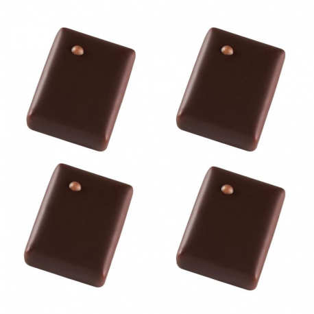 Promesse praliné amande chocolat noir VALRHONA - boîte de 1kg