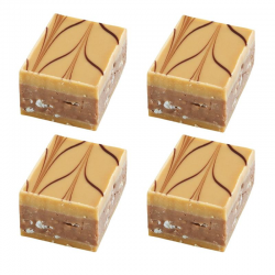 Rinette dulcey chocolat praliné VALRHONA - boîte de 2kg