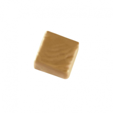 Bonbons de chocolat Dulcey - chocolat Caramélia VALRHONA - boîte de 1kg