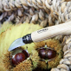 Couteau Opinel à châtaigne, ail n°7 - pièce