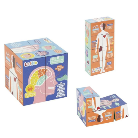 Cube éducatif corps humain - pièce