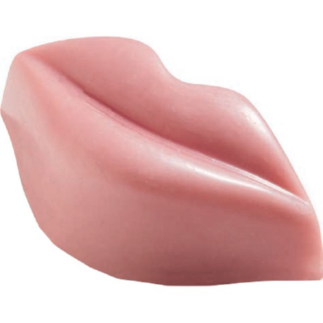 Praline d'amour Bouche "Aphrodite" crème cheese cake framboise vrac 1,17kg