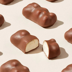 Oursons Minis guimauve et chocolat au lait s/cello Cémoi - carton de 1,606kg