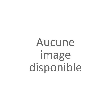 Pastilles de Vichy authentiques Menthe - sachet de 450g